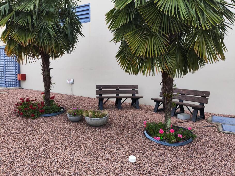 Otima Localizacao Turismo Faculdade Apartamento Bento Gonçalves